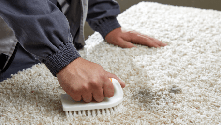Professional Rug Cleaning Brighton