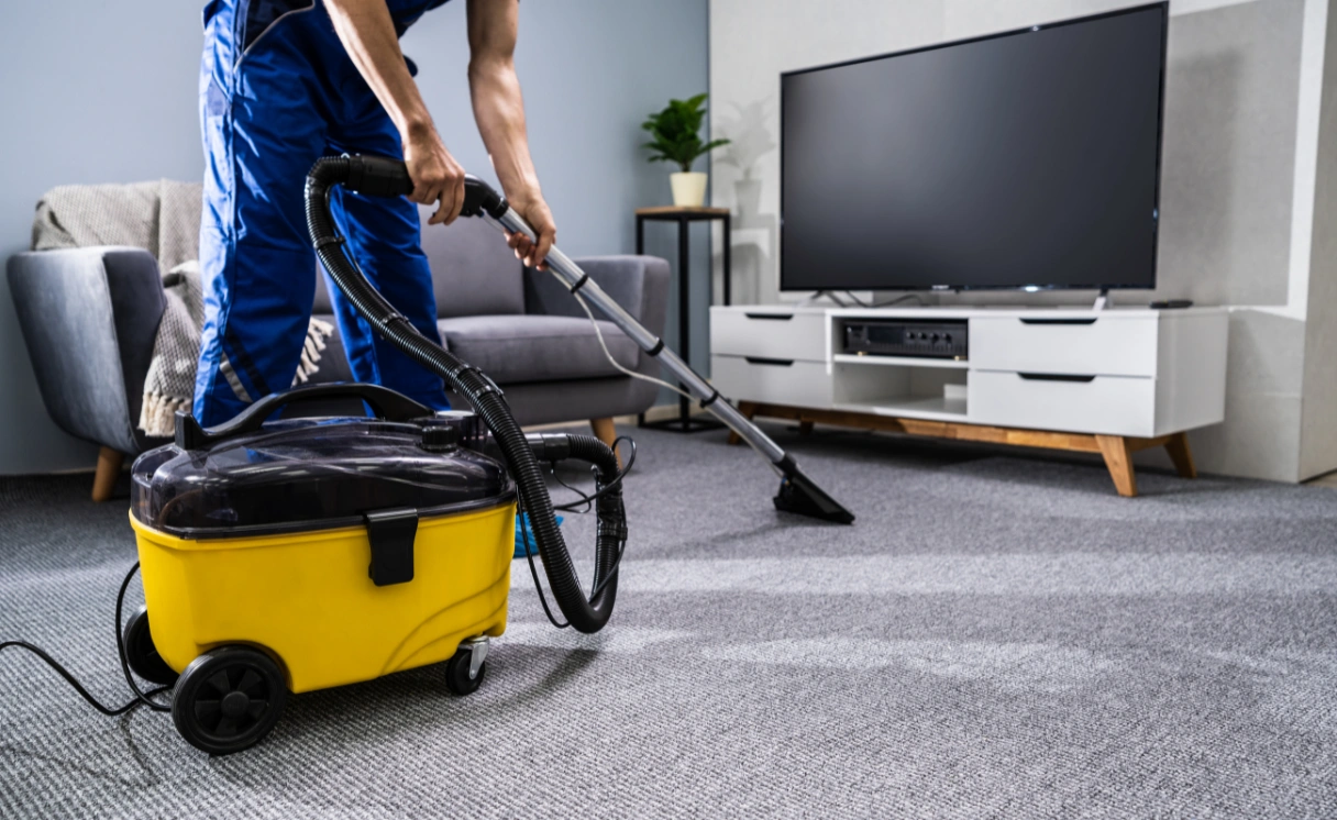 Extract Rug Cleaning Brighton Contact Office